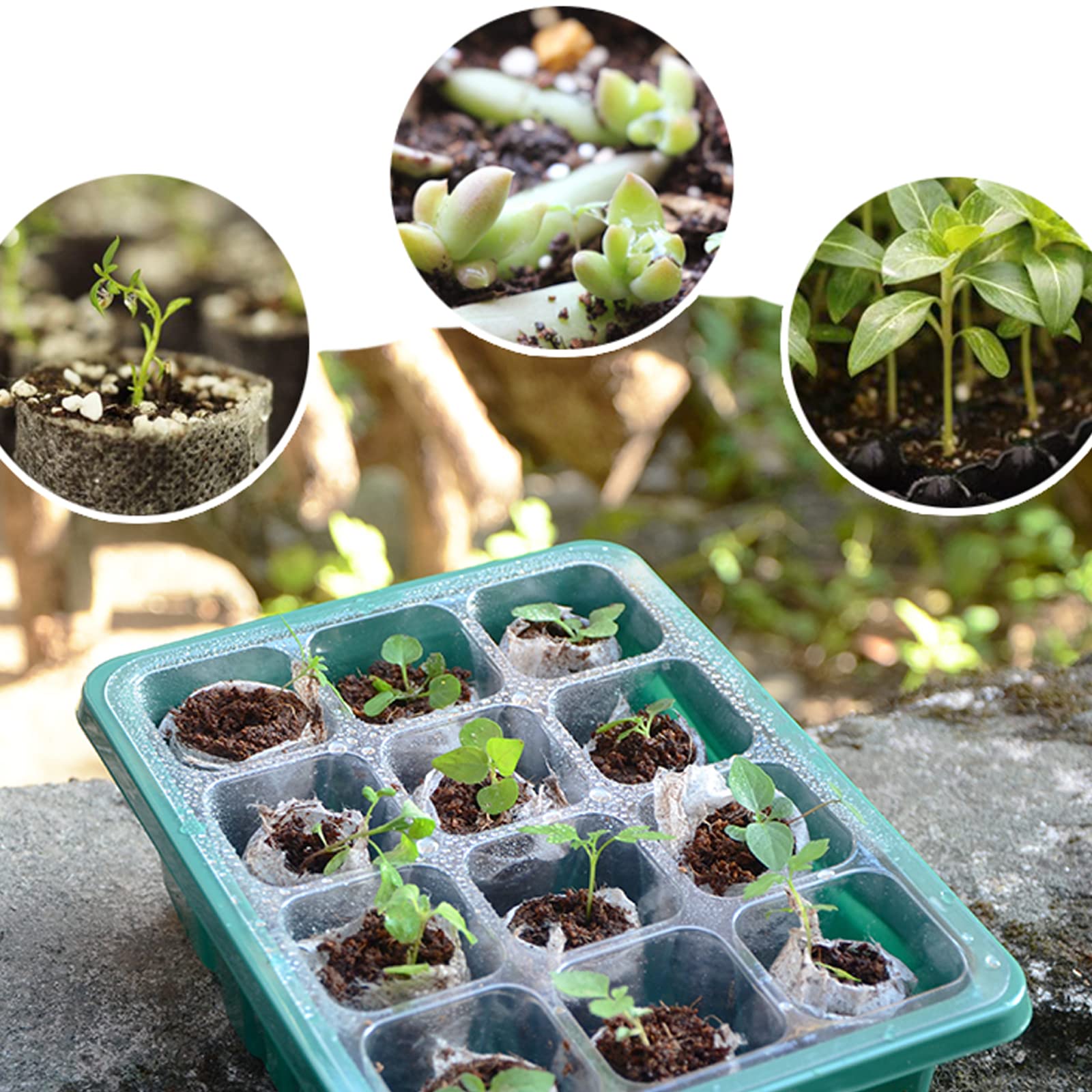 4PCS Vassoio di Germinazione, Vassoi di Avviamento per Piantine,Vassoio Coltivazione Regolabile Scatole di germinazione con Cupola di umidità, Coltivazione in Serra