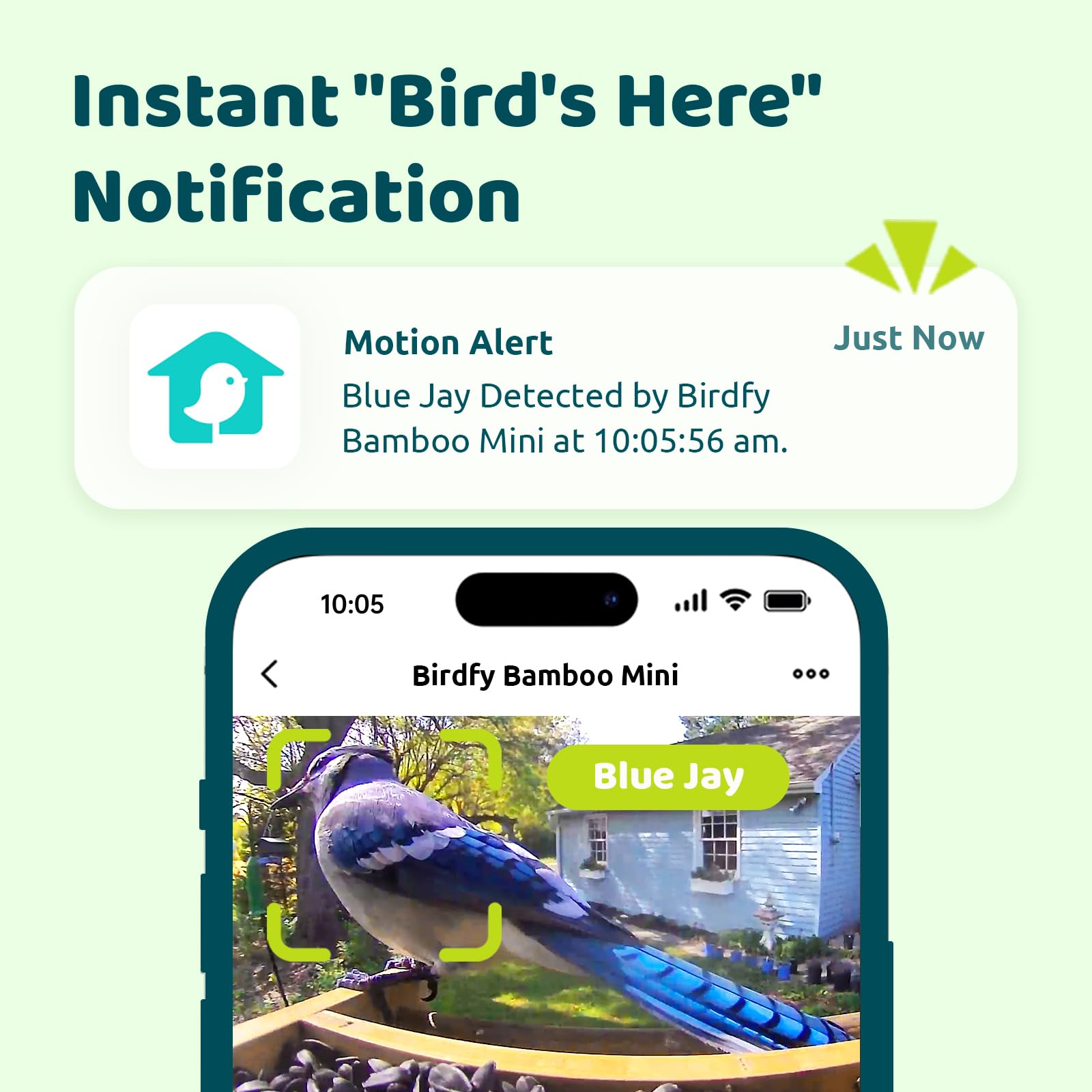 NETVUE by Birdfy Vogelfutterhaus mit Kamera, Solarbetrieb Bambus WLAN Vogelfutterstation, KI-Vogelidentifikation, Automatische Videoaufnahme, Vogelbenachrichtigung, Vogelhaus mit Kamera