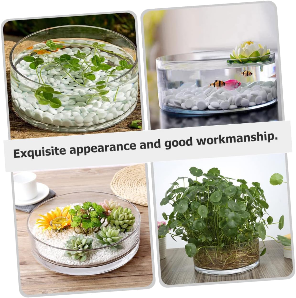 Capacity Glass Flowerpot Vase for Centerpieces Terrarium Decor Home Plant Pot Hydroponic Planter