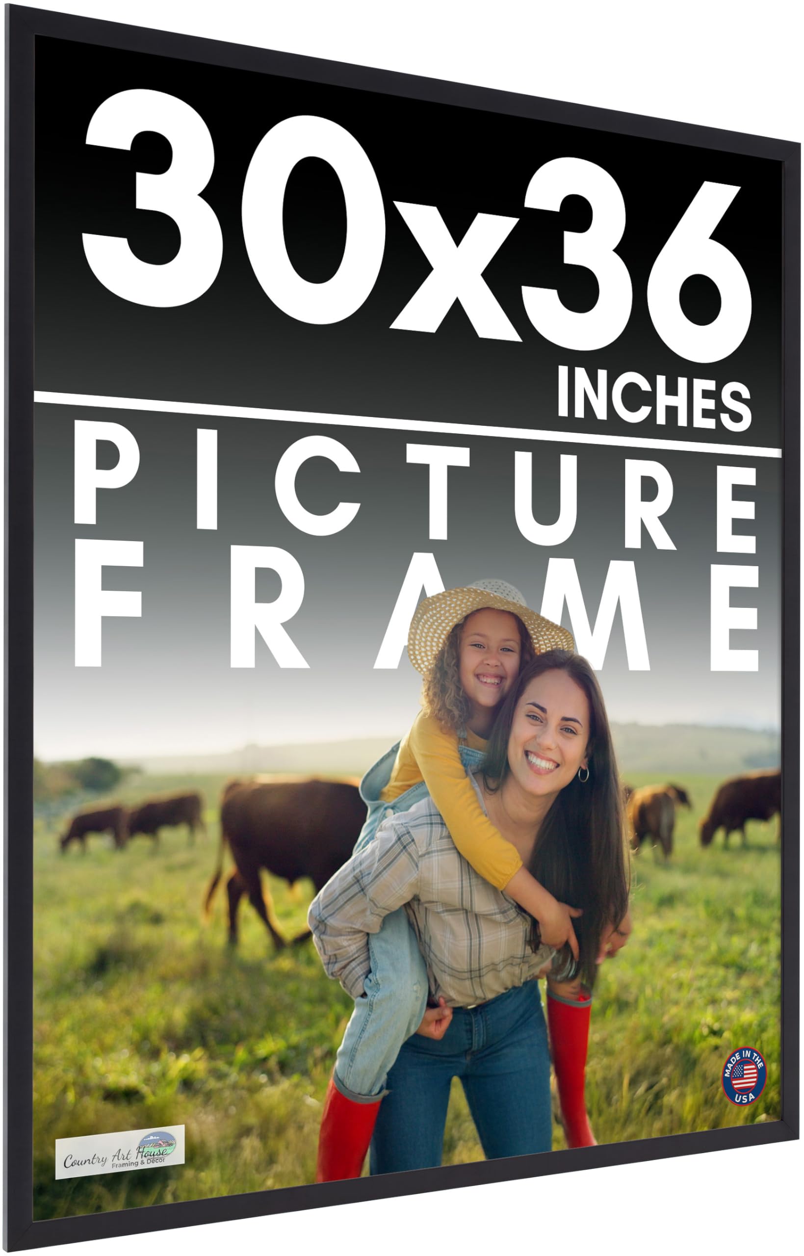 Amazon.com - 30x36 Frame Black Picture Frame - Complete Modern