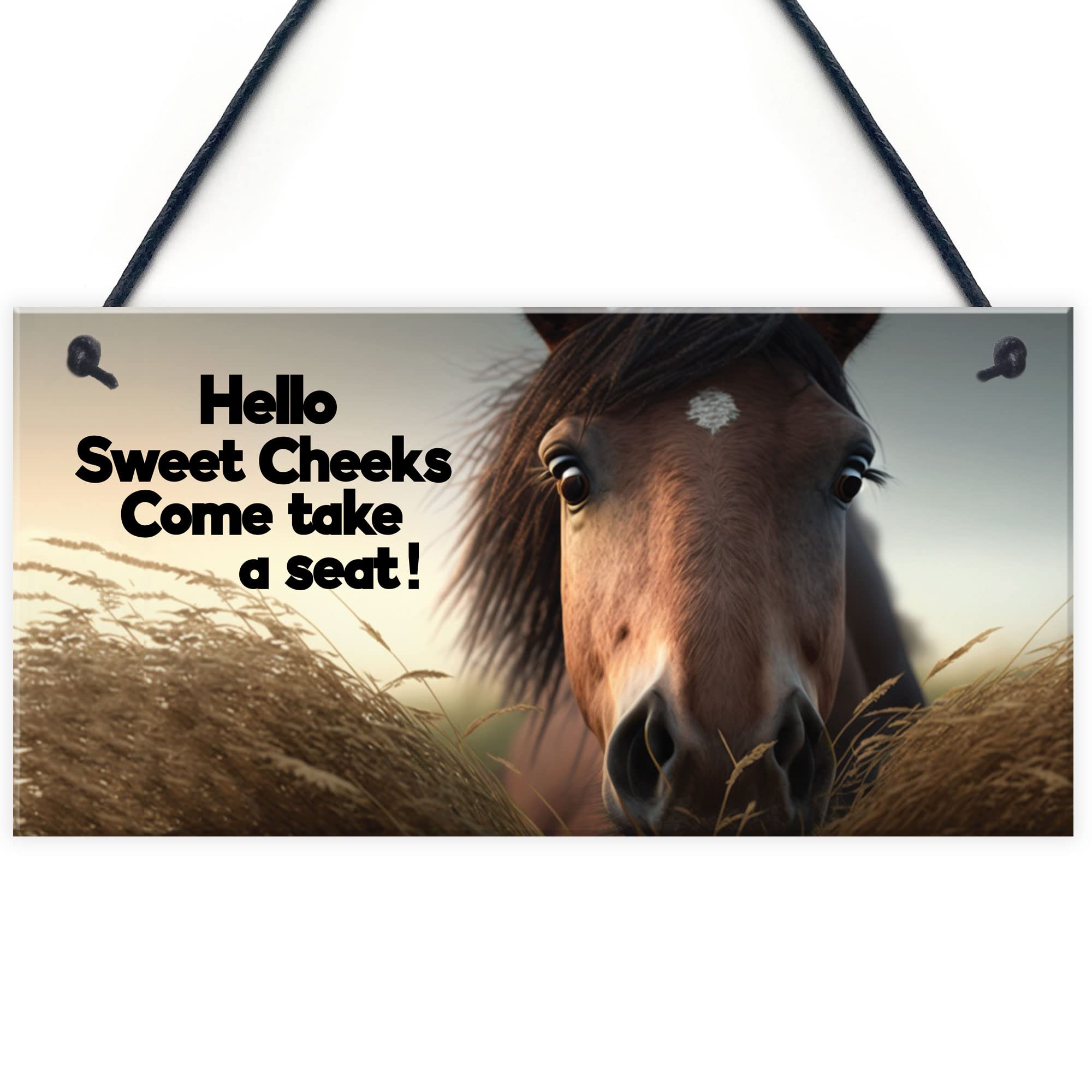 Red Ocean Horse Gifts For Girls Hanging Wall Sign Horse Sign For Stables Horse Lover Gifts Daughter Gift Friendship Gifts