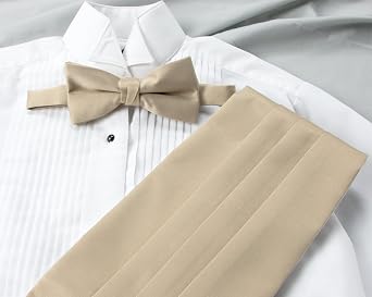Spring Notion Men's Cummerbund and Bow Tie Set