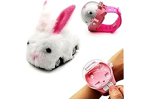 Tipmant Mini Watch Remote Control Car
