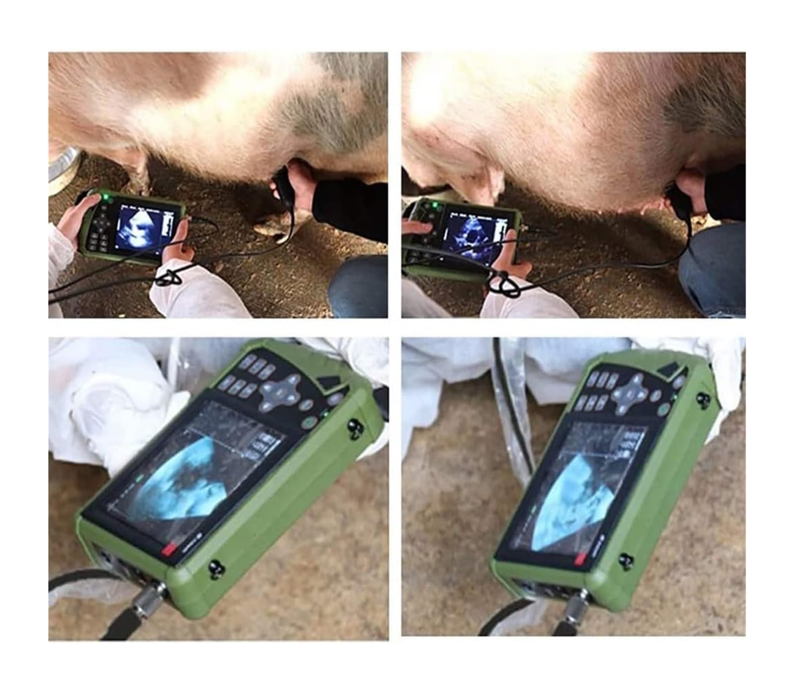 Scanner a Ultrasuoni B Portatile Per Veterinaria/animale Con Sonde Di Traino Convesse, Attrezzatura Diagnostica Veterinaria Portatile Ad Ultrasuoni, Usata Per Animali, Animali Domestici, Allevamento