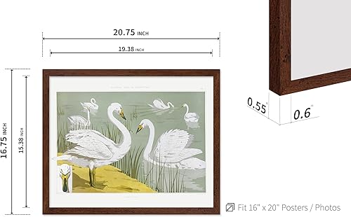 Miniatura 498 de Poster Master Póster vintage de flamenco americano, estampado retro de flamenco rosa, arte de pájaro, regalo para él, ella, amante de los animales,