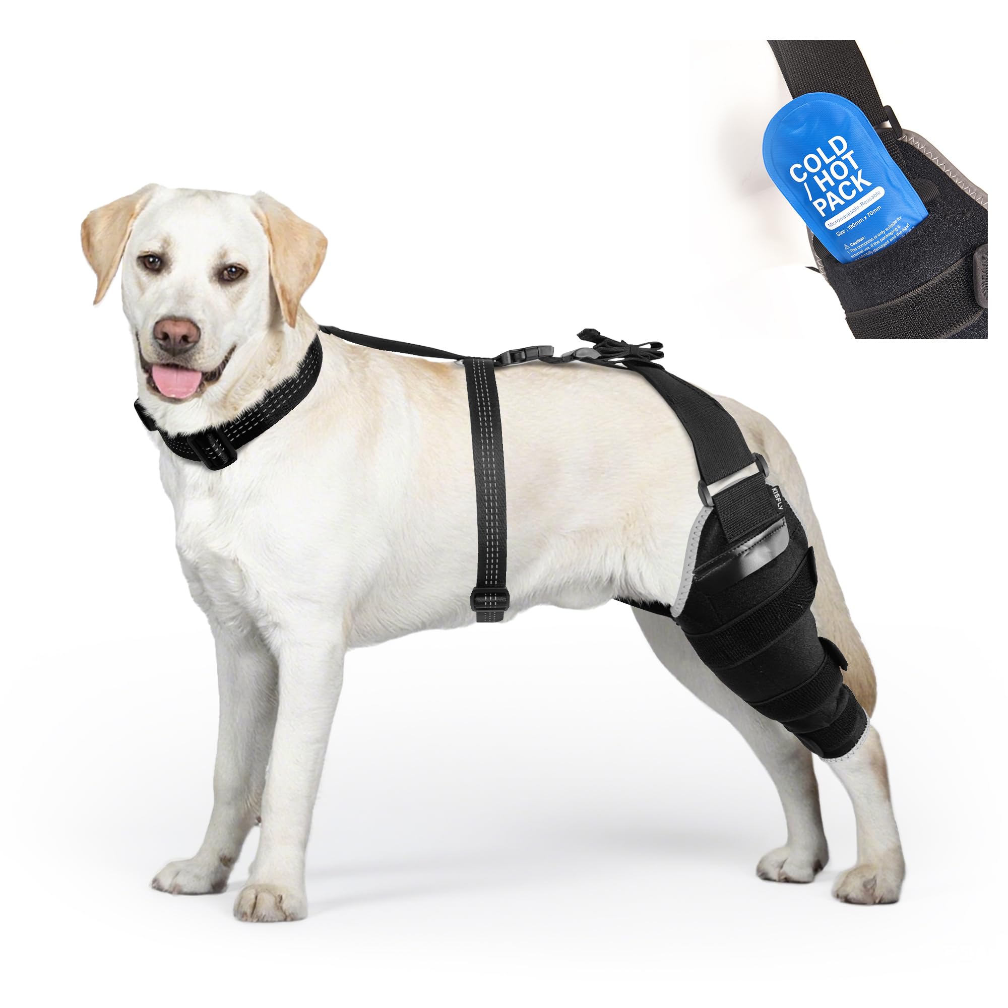 Attelle ACL patte arrière pour chien actif avec poche de gel chaud et froid