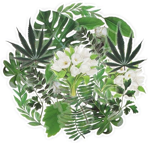 60 calcomanías de plantas, calcomanías transparentes de plantas con tema de naturaleza, calcomanías de decoración botánica impermeables para álbumes