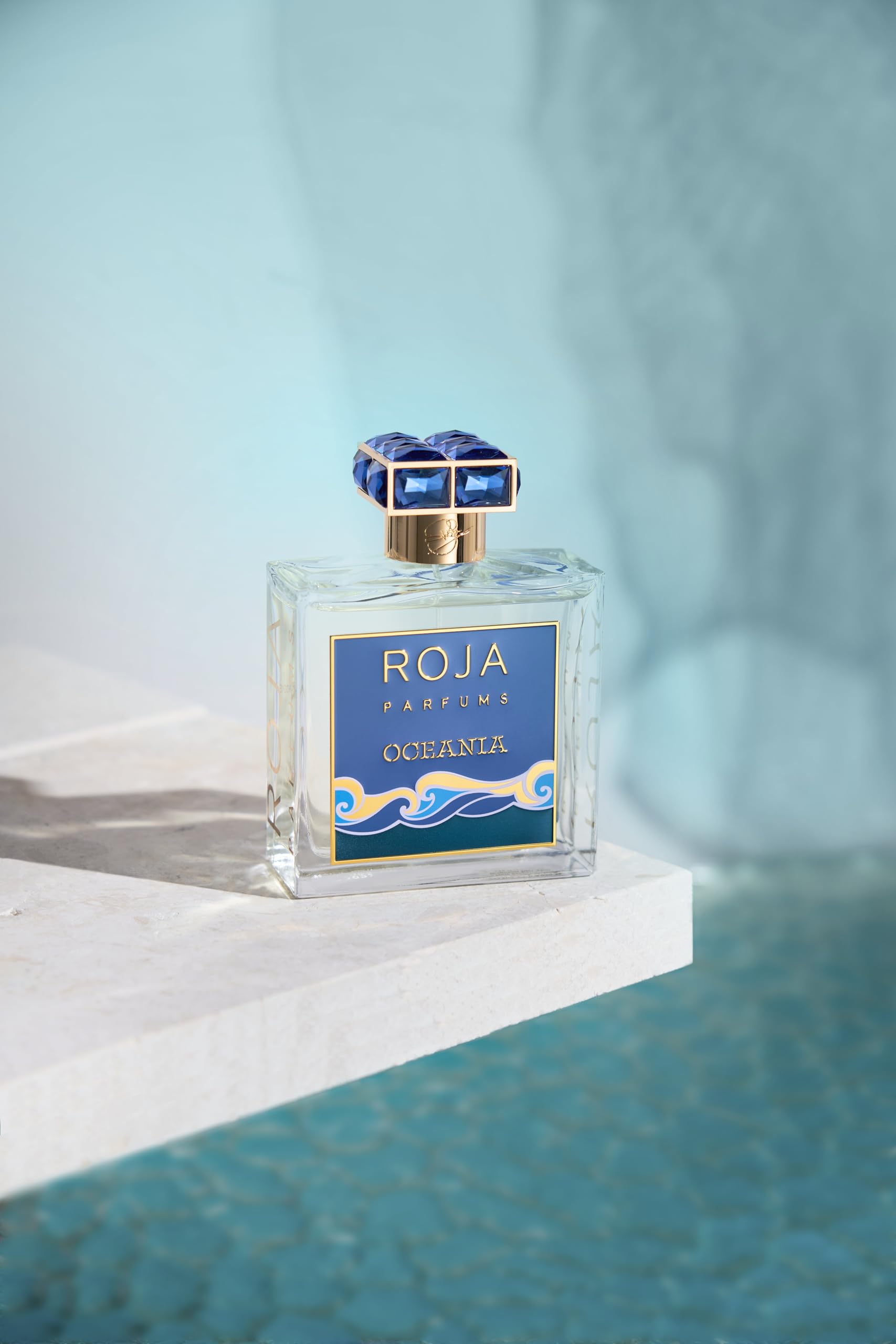 Roja Oceania EDP Spray Women 3.4 oz : Amazon.ca: Beauty & Personal