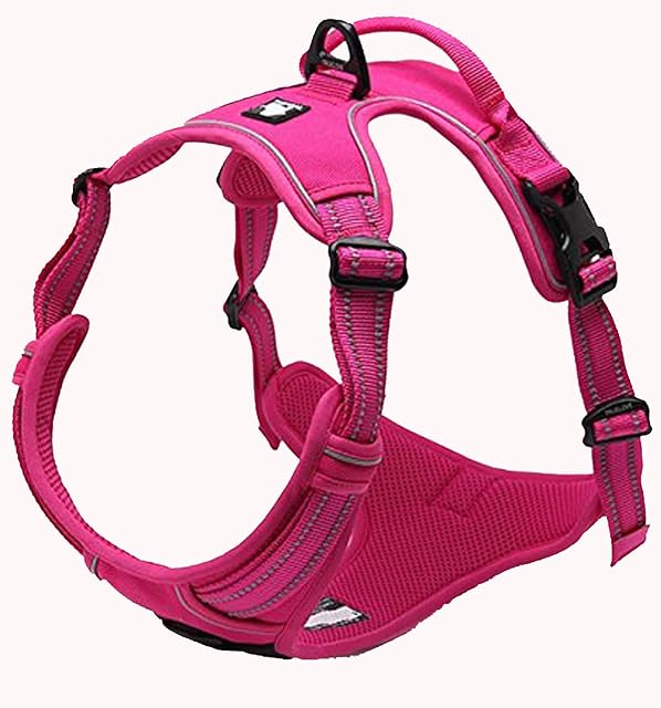 TrueLove Dog Harness TLH5651 No-pull Reflective Stitching Ensure Night Visibility, Outdoor Adventure Big Dog Harness Perfect Match Puppy Vest (S, Fushcia)