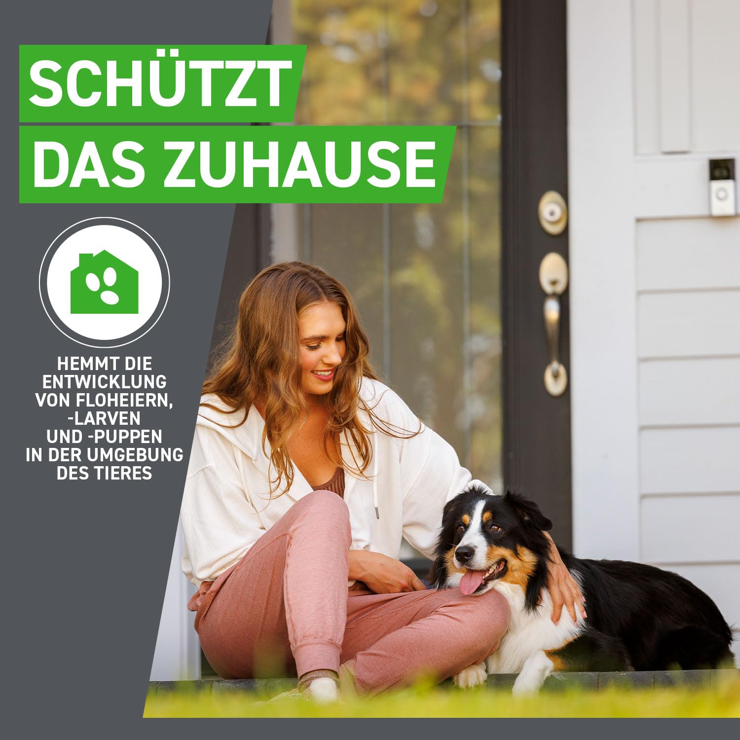 FRONTLINE Combo Hund M gegen Zecken, Flöhe & Haarlinge (10 bis 20 kg) | 3x Pipetten (3er Pack) für bis zu 9 Monate Schutz - gegen Floheier, Larven & Puppen im Haushalt - wasserfest