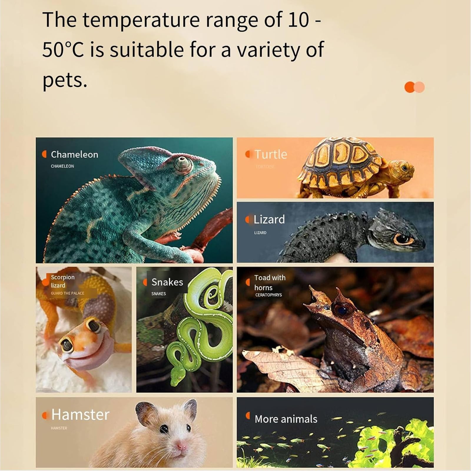 Mata grzewcza dla gadów, regulowana temperatura pod zbiornikiem, terrarium dla żółwi, węży, jaszczurek i gekonów
