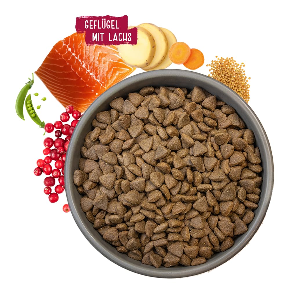 Chicopee HNL Active Salmon & Potato sucha karma dla psów, 12 kg, od Bosch | karma dla psów | kanadyjska receptura | Made in Germany | marka Bosch Tierpokarm