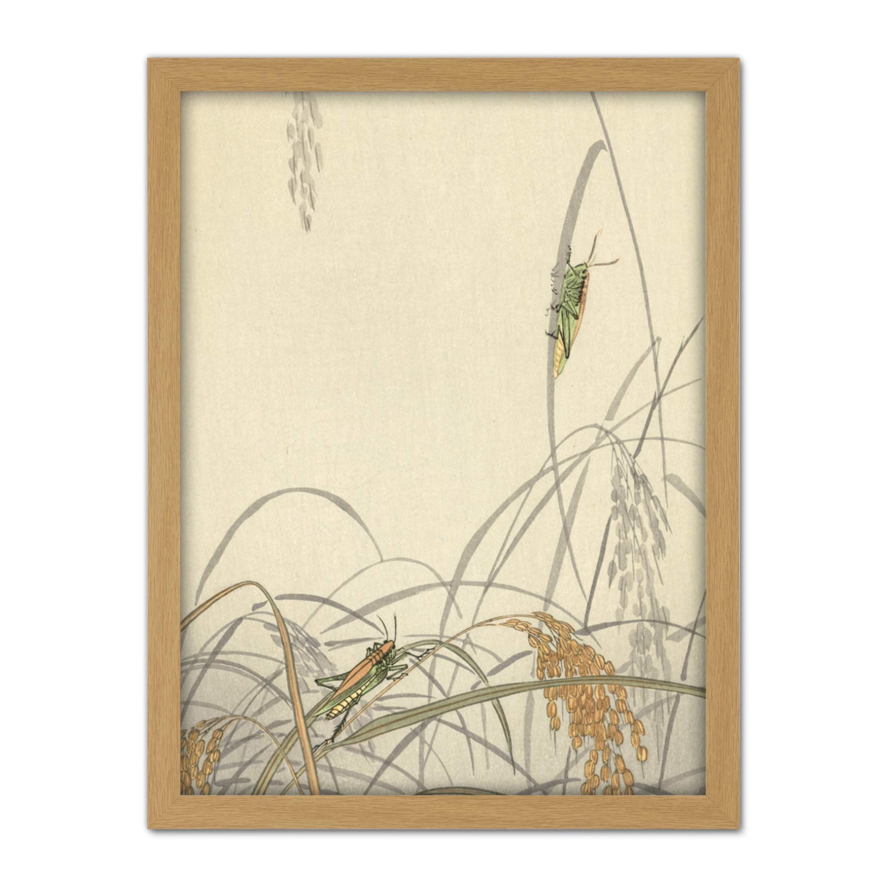 Artery8 Ohara Koson Grasshoppers On Rice Plants Painting Artwork Framed Wall Art Print 18X24 Inch