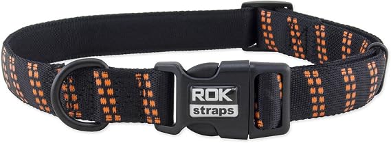 Collar, Small, Black/Purple Detail
