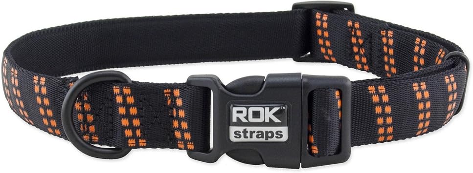 Collar, Small, Black/Purple Detail