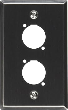 Seismic Audio SA-PLATE43 Stainless Steel Wall Plate Dual "D" Size Connectors for Cable Installation
