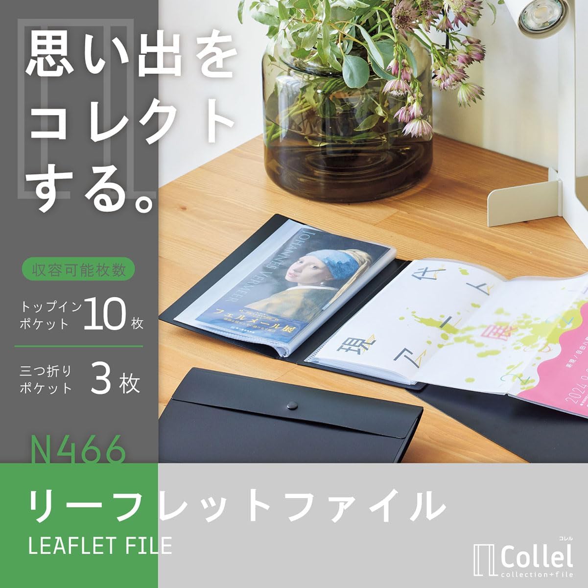 Lihit Lab Collel Leaflet File, Black, N466-24
