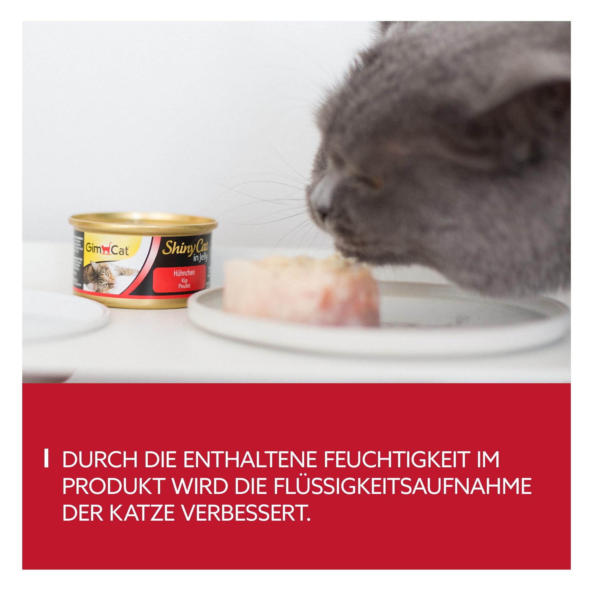 GimCat ShinyCat in Jelly Hühnchen - Nassfutter mit Fleisch und Taurin für Katzen - 48 Dosen (48 x 70 g)