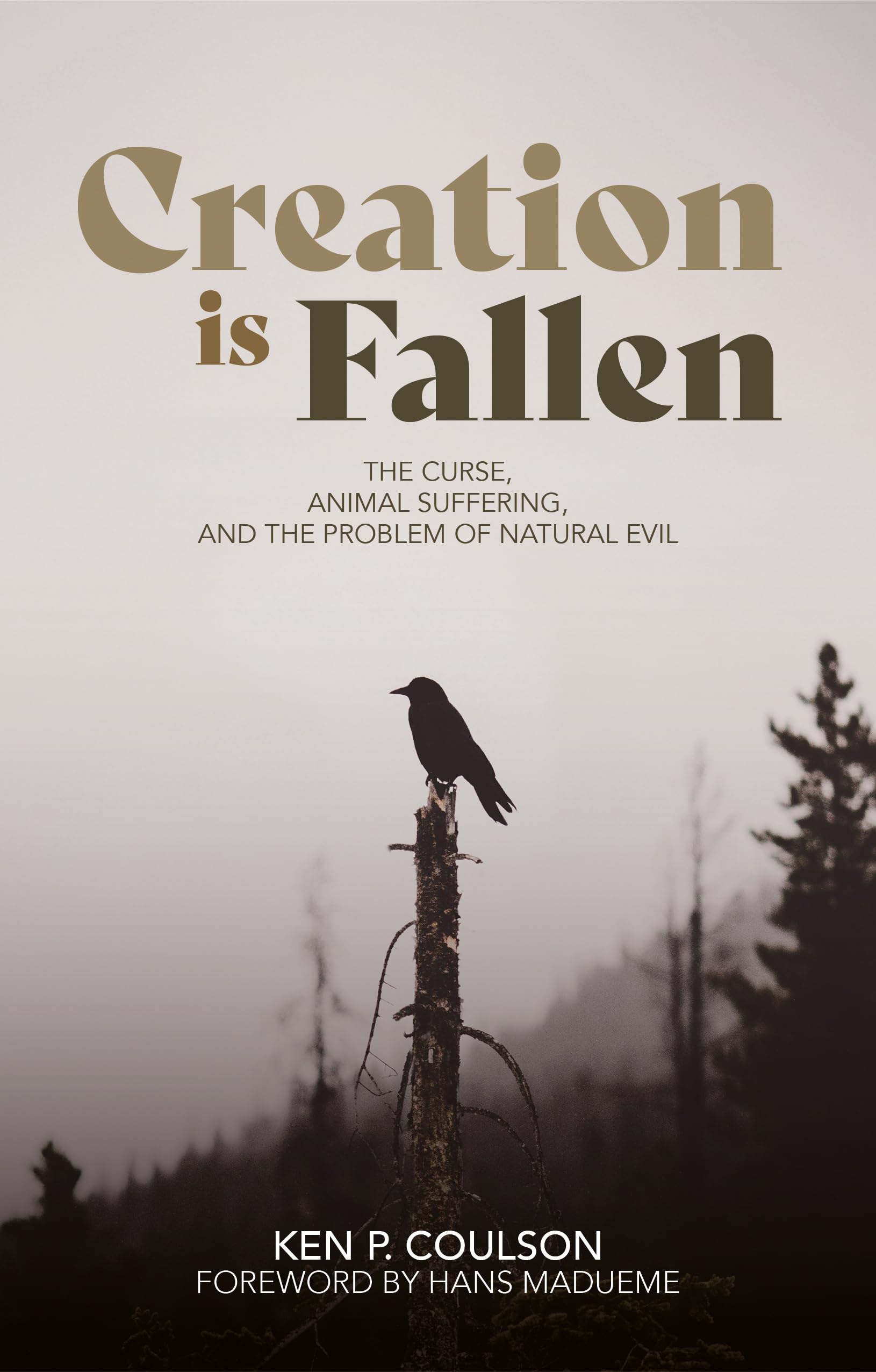 Creation is Fallen by Ken P. Coulson - 9781527113527