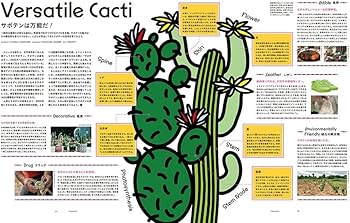 TRANSIT 60号 メキシコ マジカルな旅をしよう! (講談社MOOK