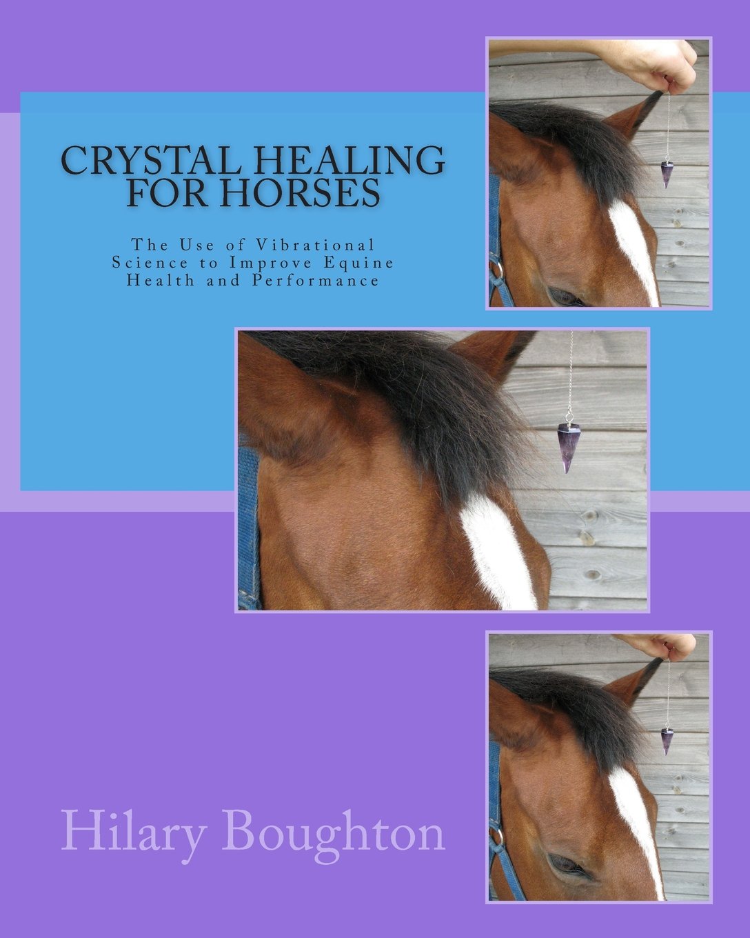 Crystal Healing for Horses