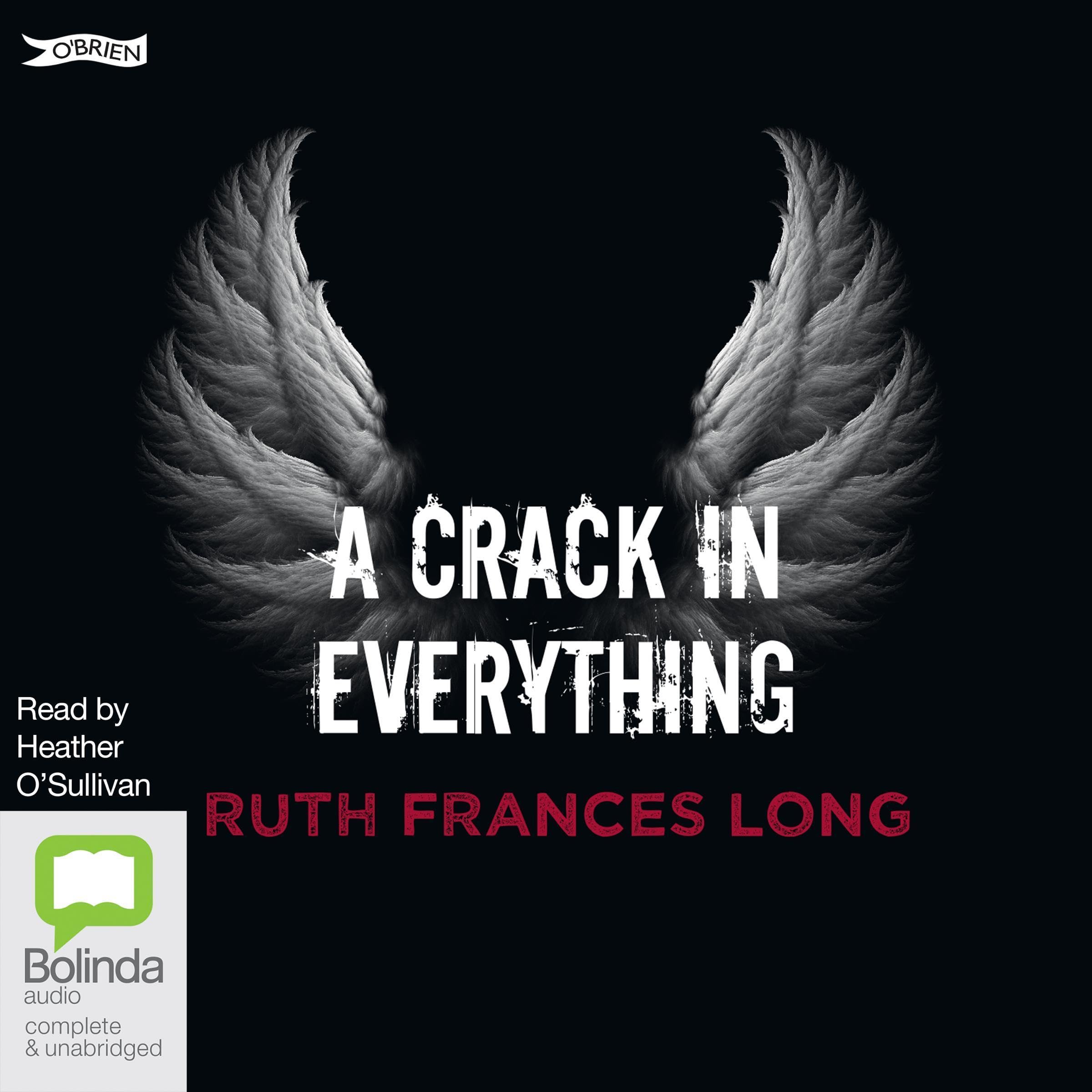 Cover art for A Crack in Everything