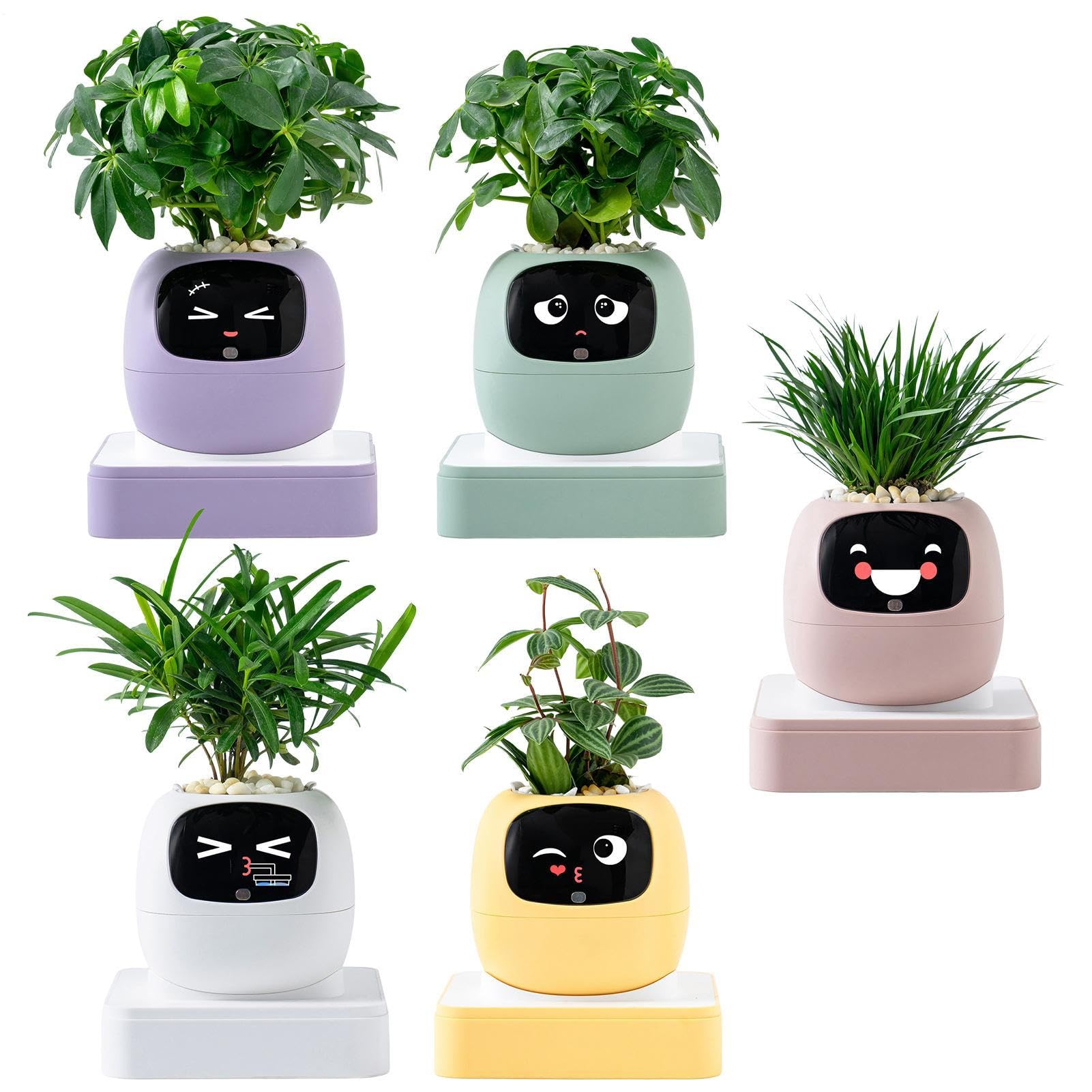Pot de fleurs intelligent contre les plantes mortes pour débutant intérieur