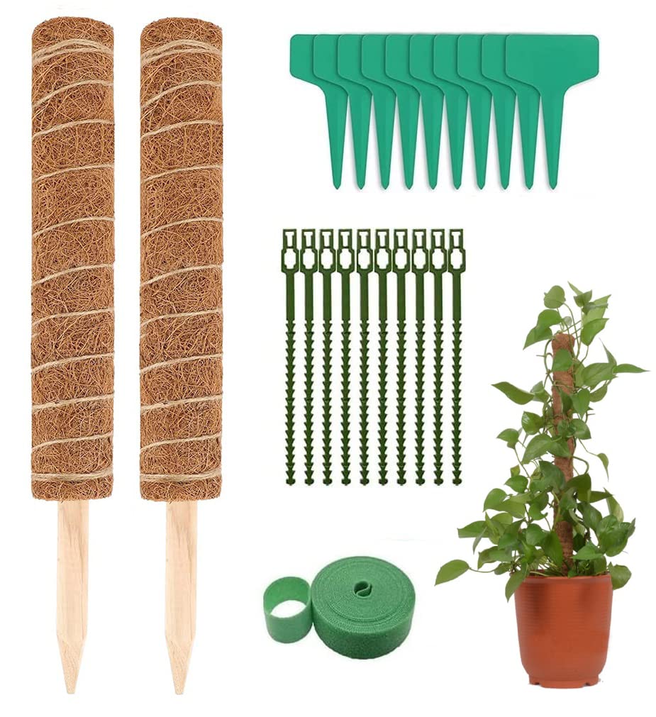 Buy Zemolo Moss Poles, 2Pcs 16 Inches Coir Totem Moss Pole for Monstera