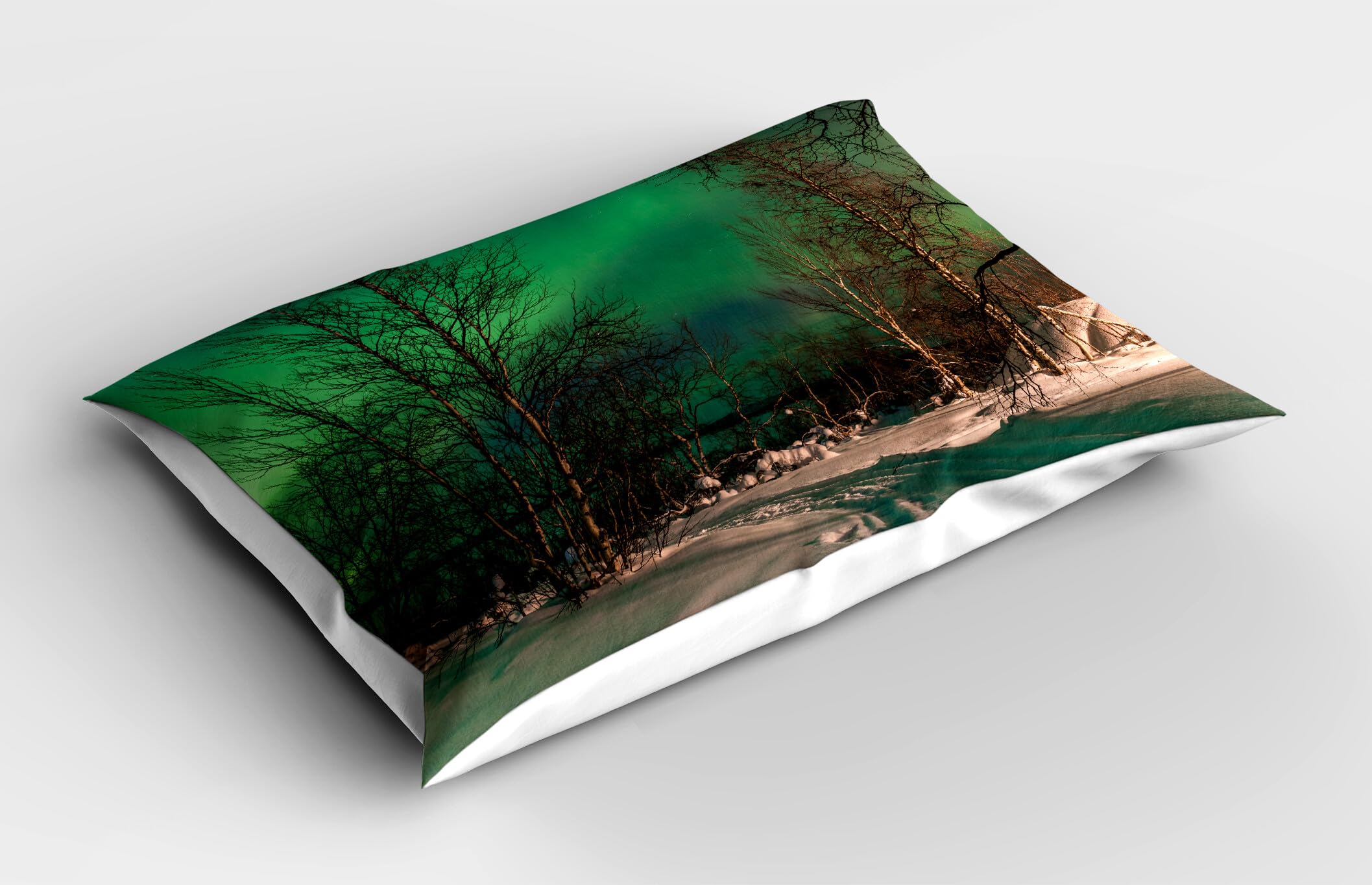 Ambesonne Aurora Borealis Pillow Sham Set of 2, Snowy Frozen Road Path Between Leafless Trees Finland Park, Quality Microfiber Bedding Item for All Seasons, 30