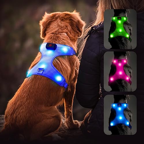 Flashseen Arnés LED para perro, arnés para mascotas recargable por USB, chaleco reflectante iluminado, ajustable, suave acolchado, sin tirones, para