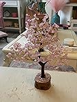 Review Image by Sharon H. Sharon H.
