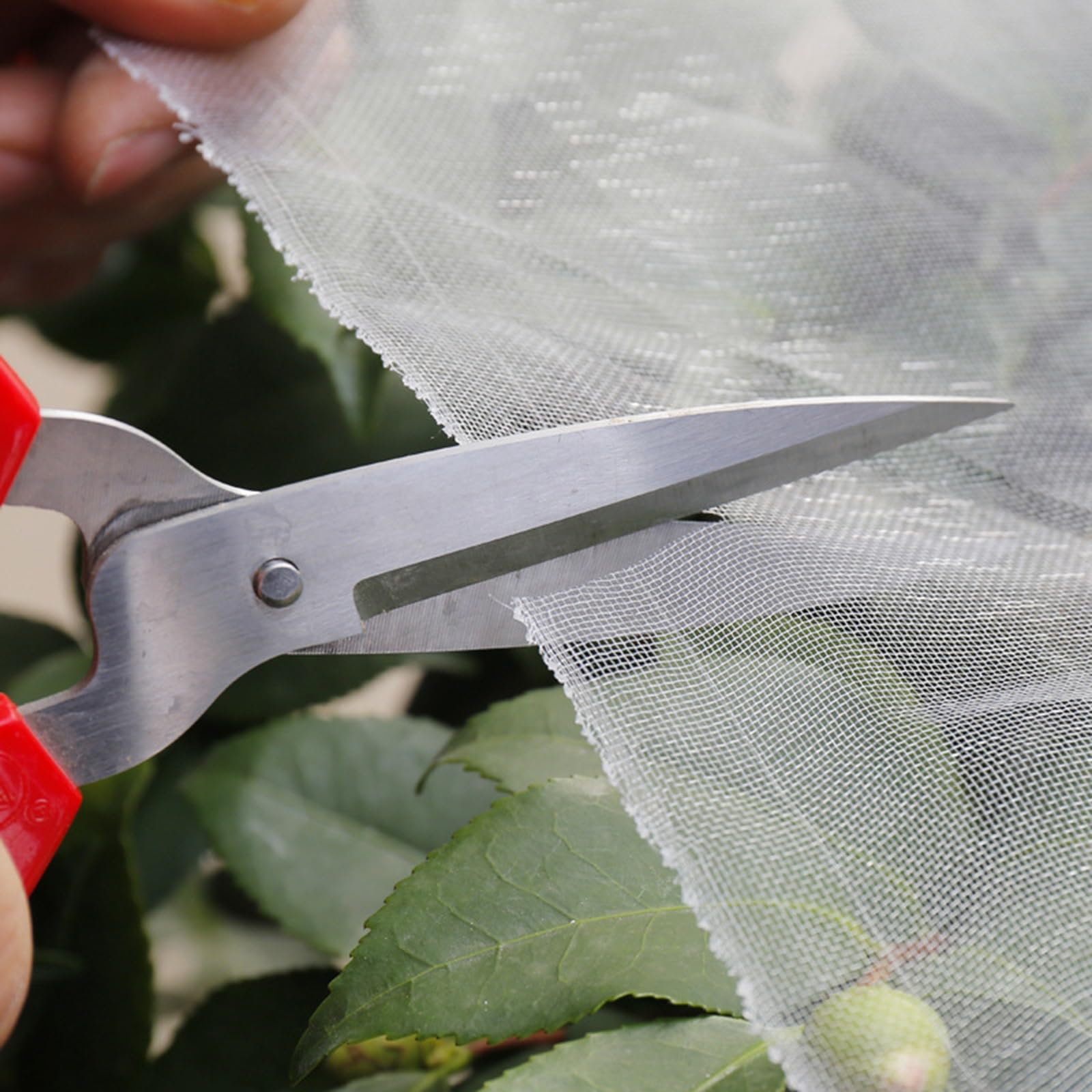 Filet Anti Insectes, Réutilisable Filet Anti Grele, Filet Anti Pigeon, Filets pour Protection Jardin Idéal pour Protéger Les Jardins Potagers, Plantes Fruits Fleurs Légumes(2mx15m)