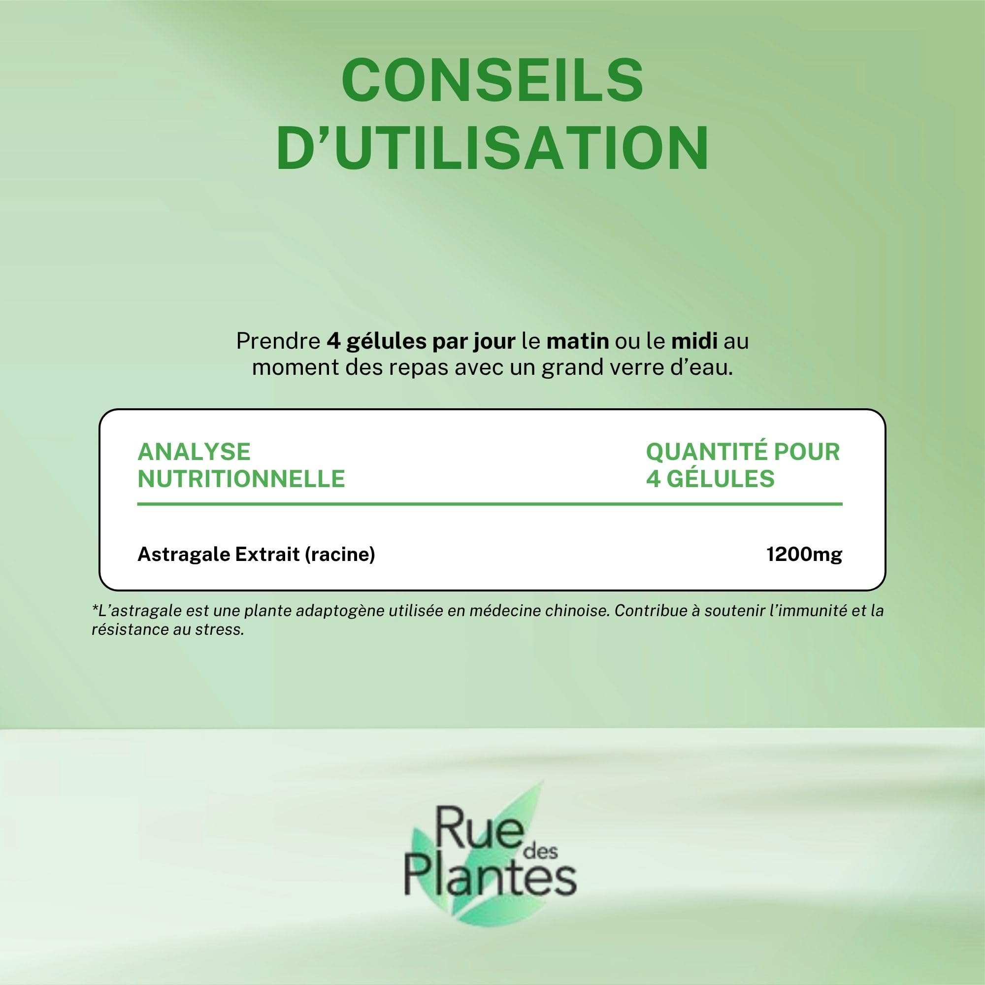 Astragale Extrait 120 Gélules – Cure 1 Mois | Soutien Immunitaire, Aide à la Vitalité et au Tonus Naturel, Plante Adaptogène | Conditionnée en France, RUE DES PLANTES