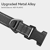 Vista 3 de Joytale - Collar reflectante para perro, collar de nailon transpirable con acolchado de neopreno suave para mascotas, ajustable para cachorros