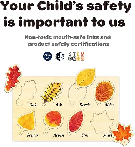 Miniatura 6 de Rompecabezas de madera de hoja de MoinKidz, juguetes de otoño para niños pequeños, rompecabezas Montessori para niños de 3 a 5 años, juguetes