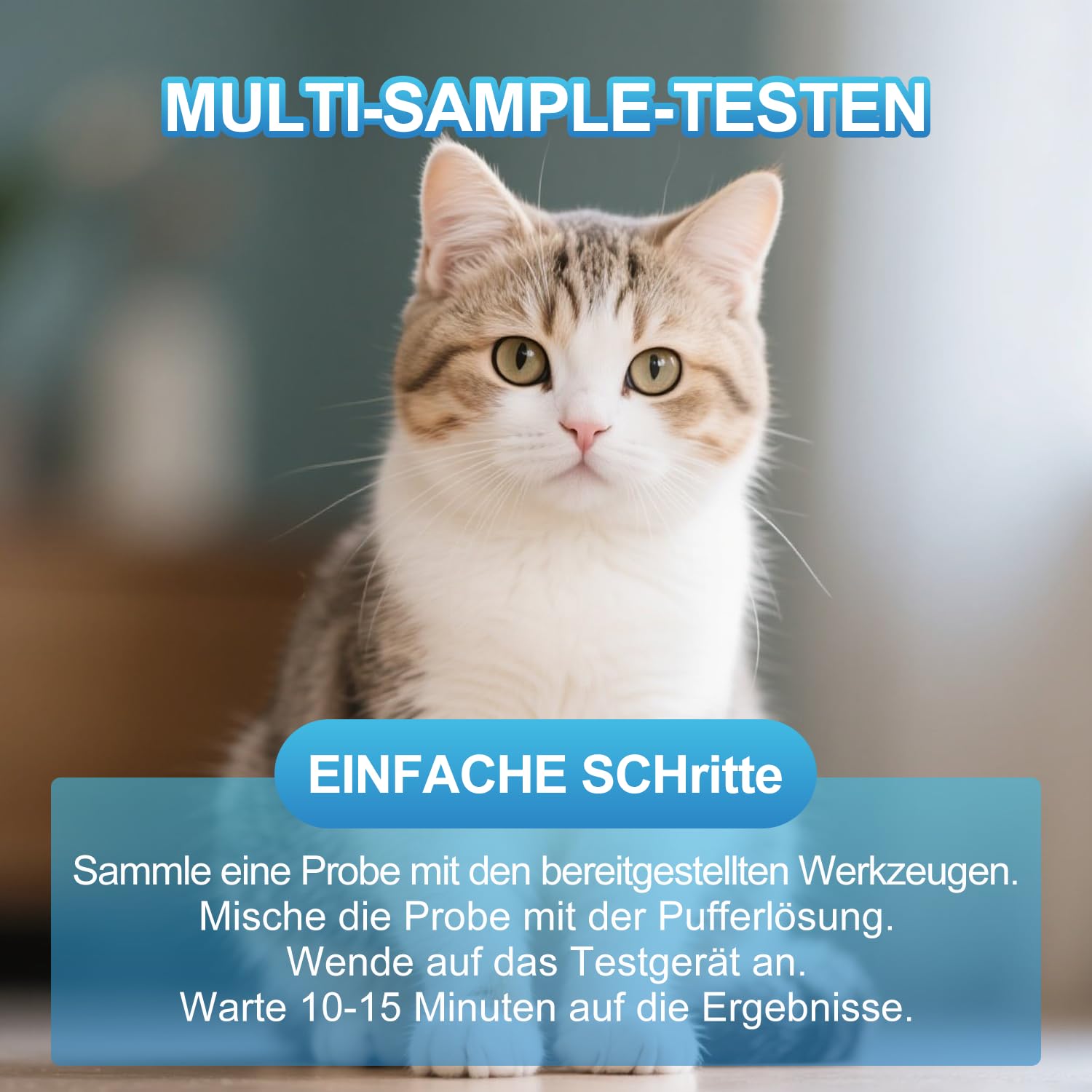 2X Katzen Feline Calicivirus FCV Ag + Feline Herpesvirus FHV Ag Haustiere Tierarzt Gesundheit Katze Haustier Schnelltest Home Test gegen Katze schnüffelt mittels Durchfall Kit