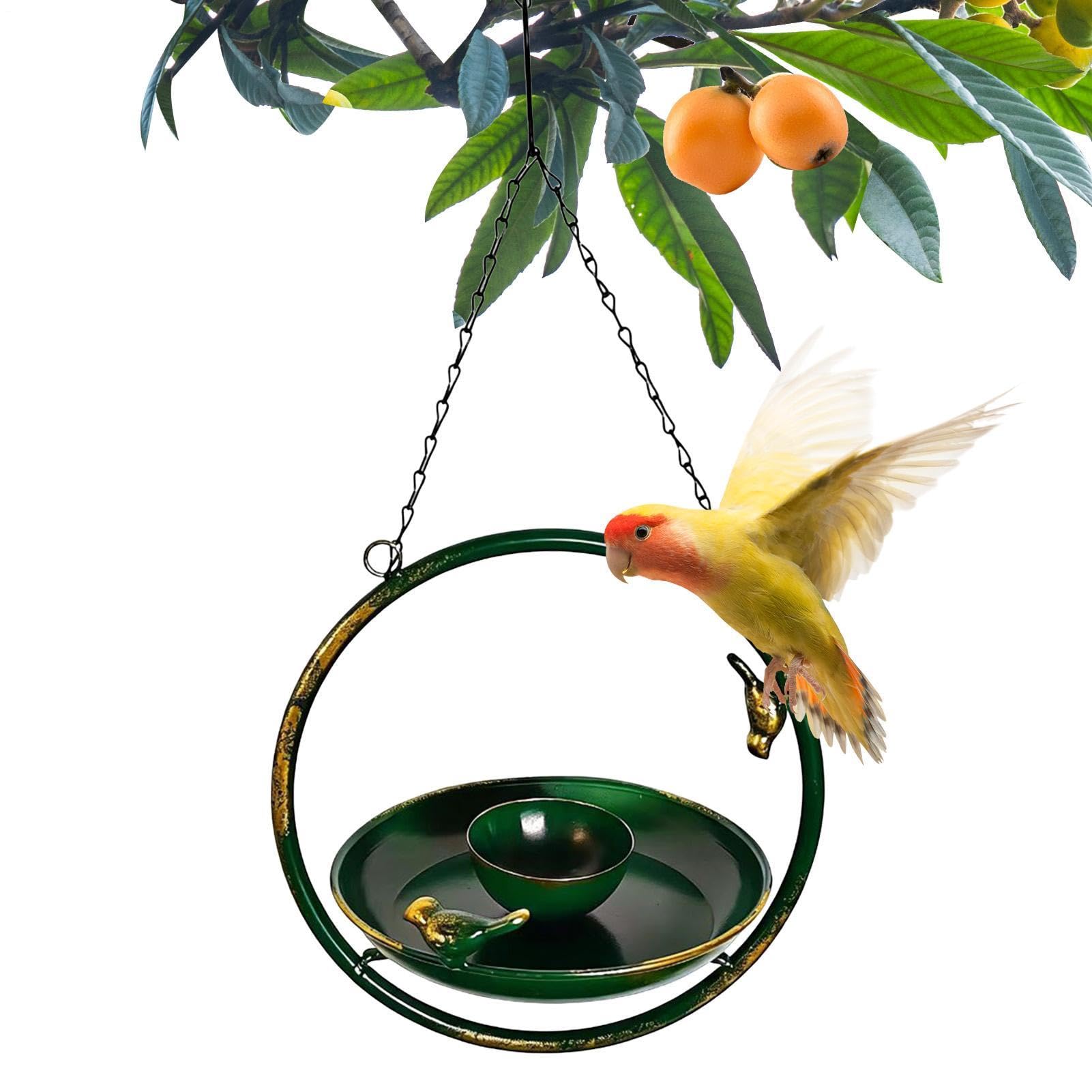 Bain pour oiseaux extérieur rouge-gorge résistant aux intempéries pour arbre