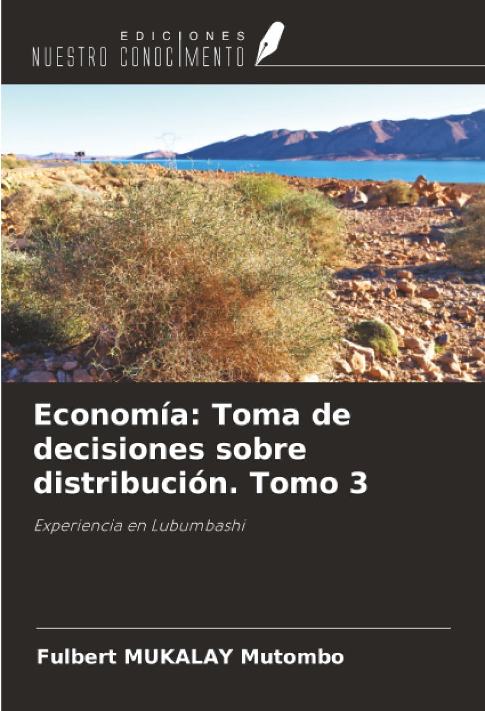 Economía: Toma de decisiones sobre distribución. Tomo 3: Experiencia en Lubumbashi