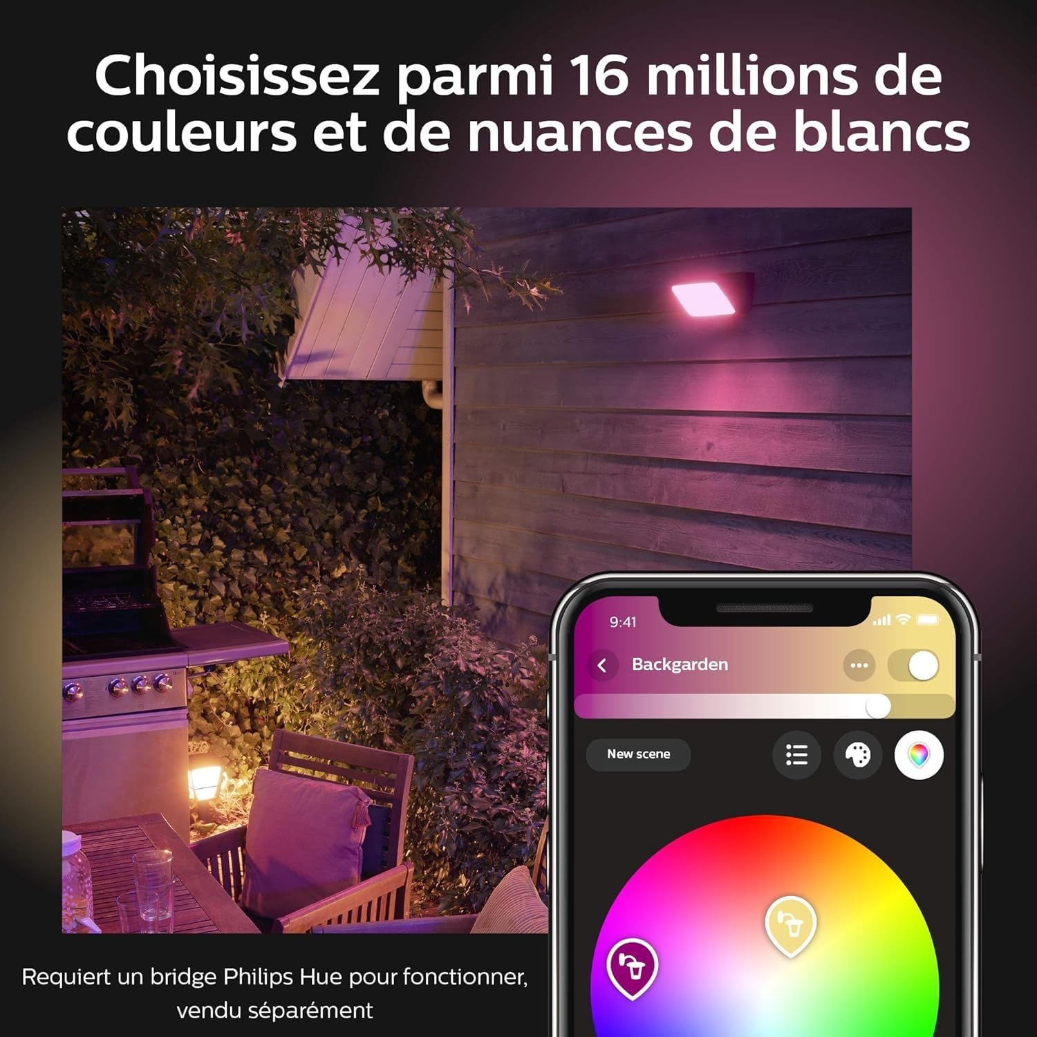 Philips Hue White & Color Ambiance Projecteur Extérieur DISCOVER, Éclairage extérieur en Aluminium Noir, Projecteur lumière compatible avec Alexa, Google Assistant et Apple Homekit