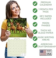 Vista 1291 de Razas de Perros 2017