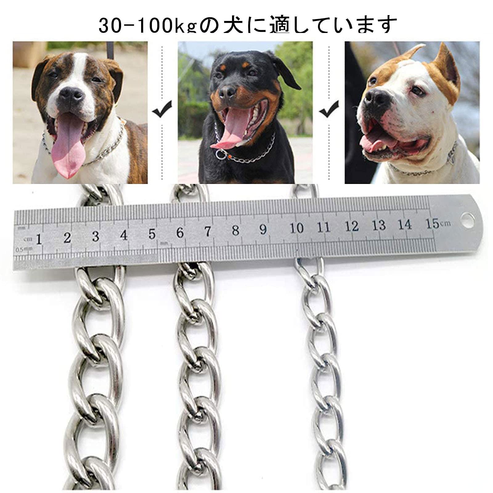 Amazon | aoory 犬用首輪,しつけ用首輪,ベーシック首輪,小中大型
