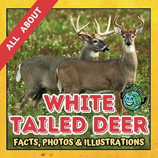 All about White Tailed Deer | Facts, Photos and Illustrations: A Picture Book for Curious Children | Screen-Free Infotainment (MY WORLD for YOUNG READERS)