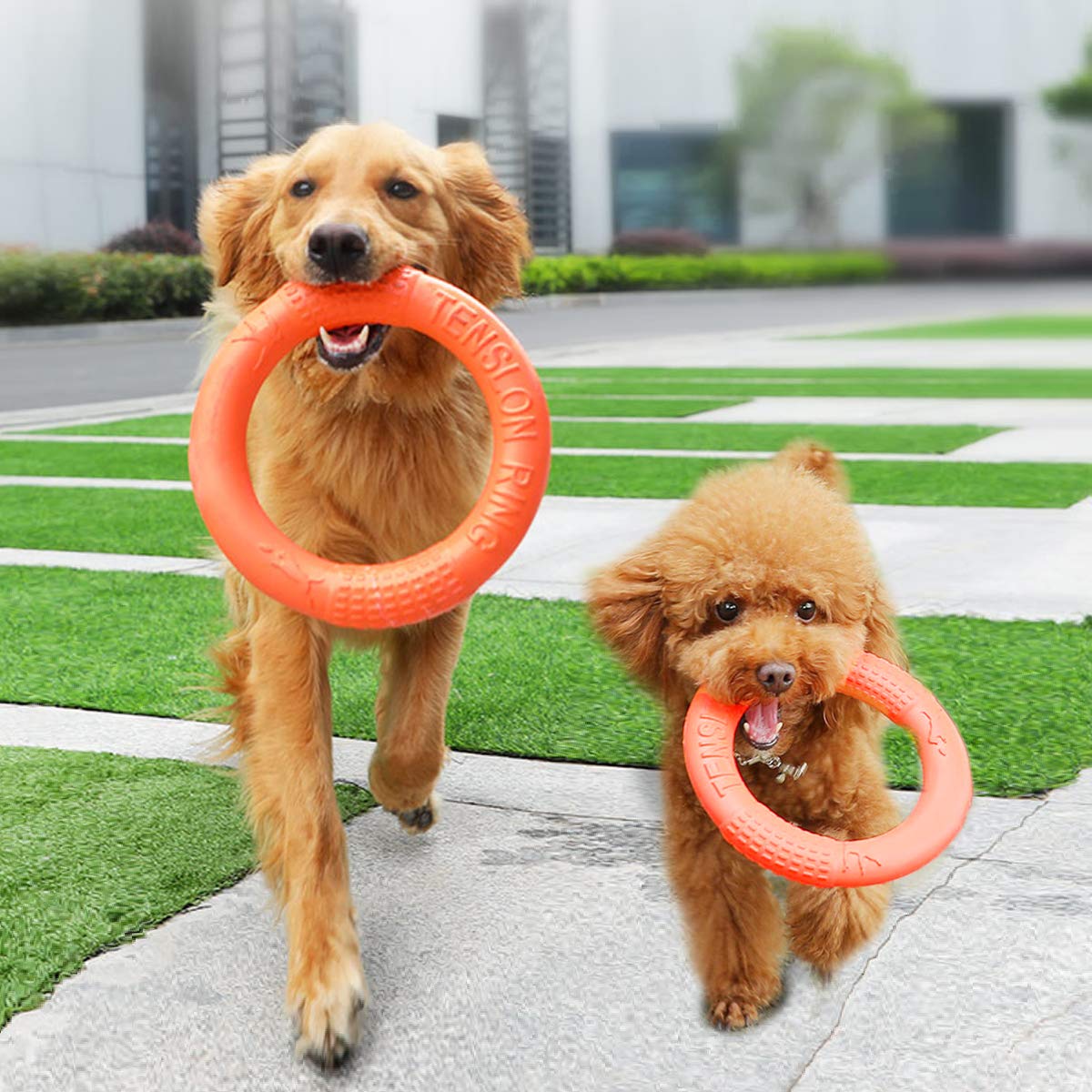 PETCUTE Hundespielzeug unzerstörbar Hund kauspielzeug gummiring Hund Frisbee beissring Hund Hunde Fliegen Ring Frisbee 2 Stücke