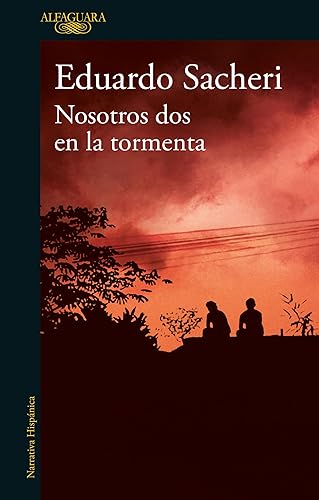 Nosotros dos en la tormenta (Spanish Edition)