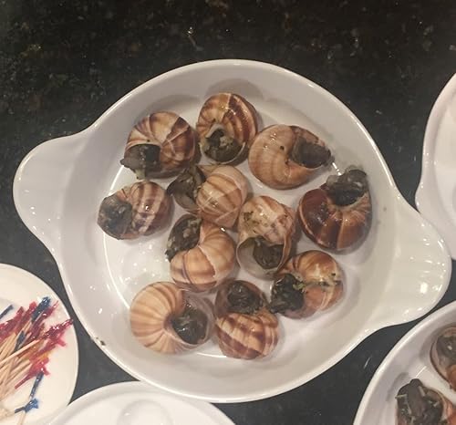 Miniatura 5 de Francés Escargots1,5decenas extragrande con 18Conchas de los Caracoles