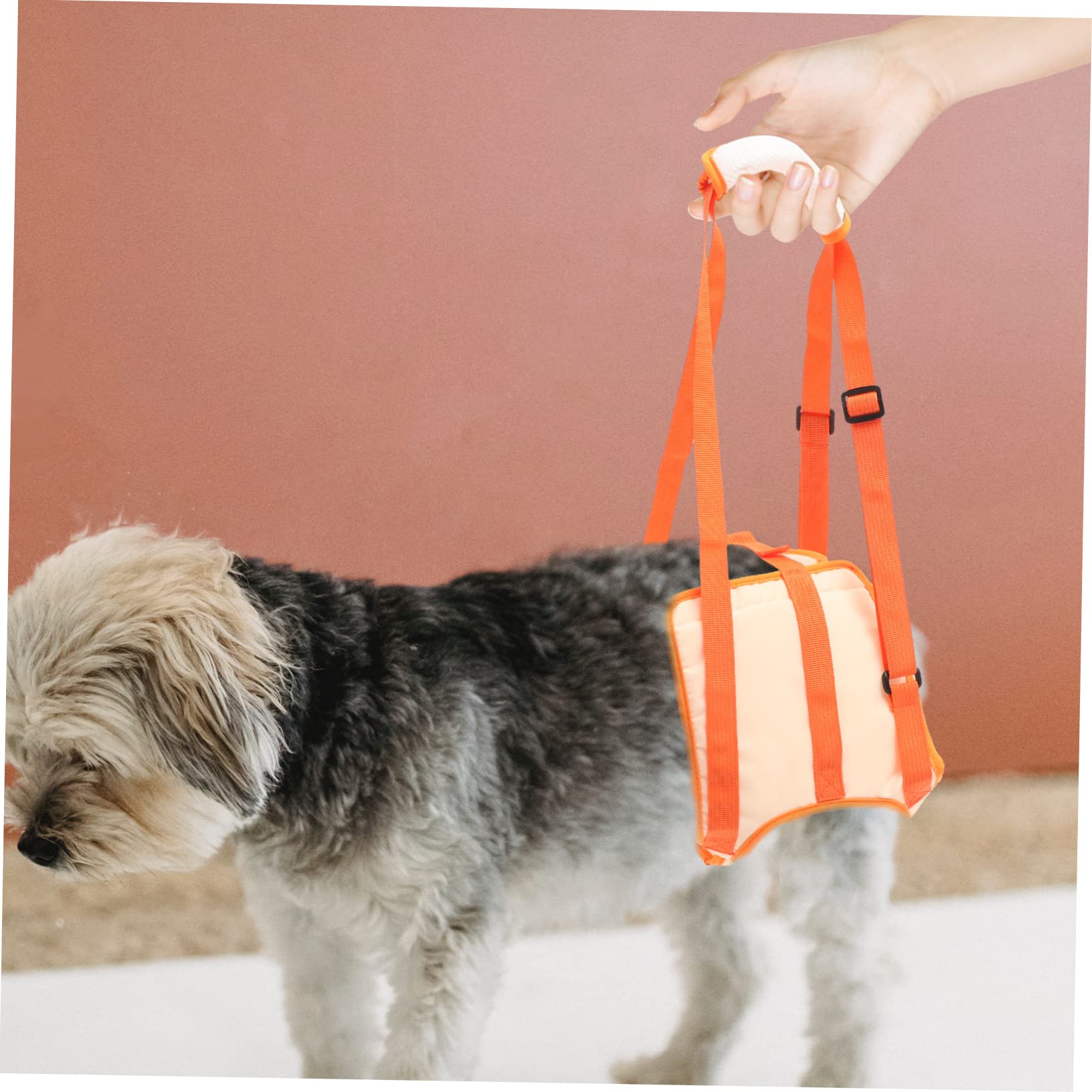 BESPORTBLE 3pièces De Levage pour Chiens Ceinture De Soutien Arrière pour Réhabilitation Canine Sling De Soutien pour Animaux De Compagnie Tour Tour De Jambe