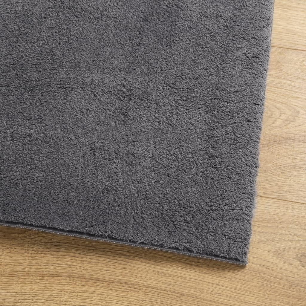 Gecheer HUARTE Tapis à poils courts doux lavable anthracite 200 x 200 cm