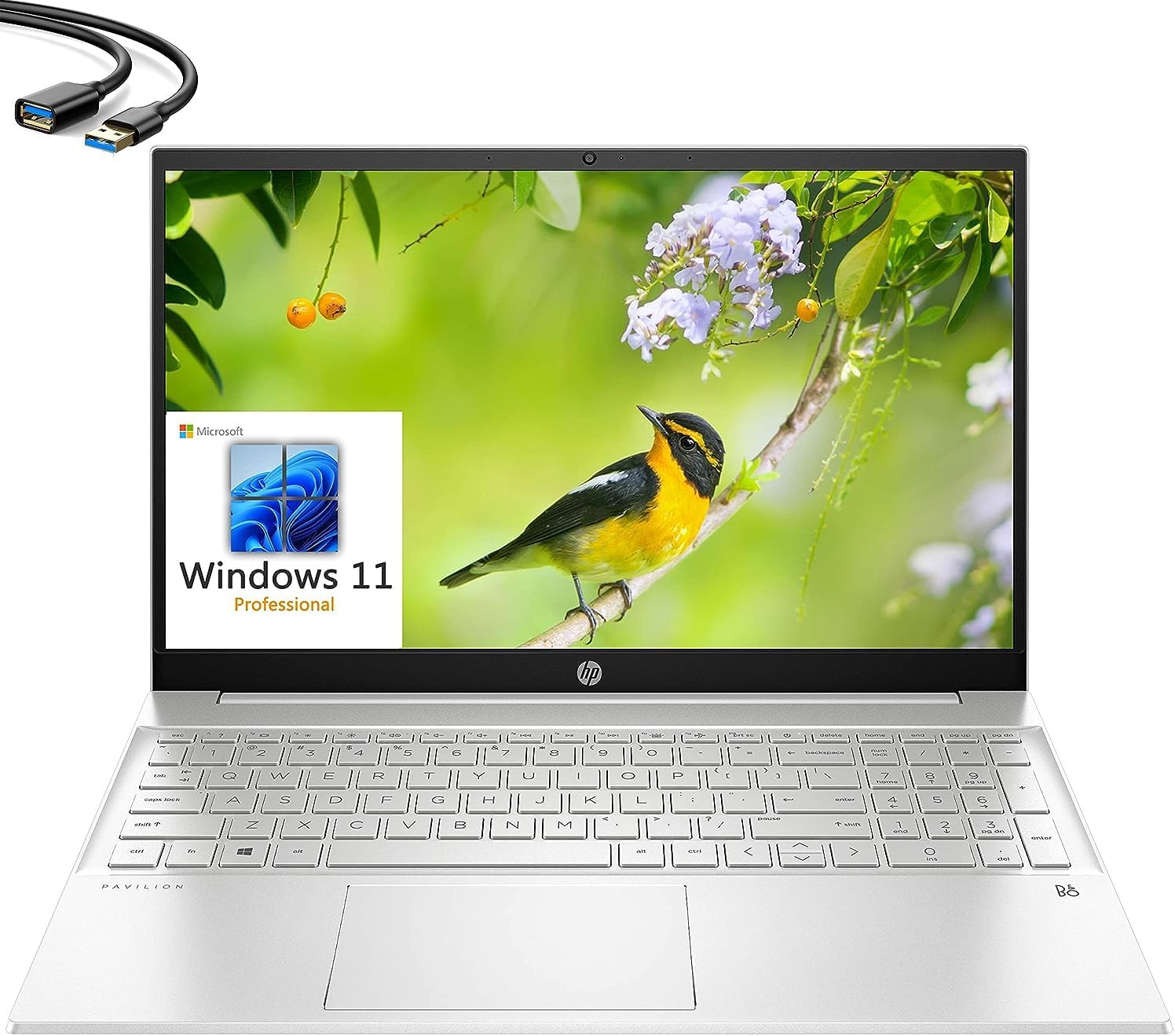 2023 Pavilion 15 15.6" FHD Business Laptop, 12th Gen Intel 10 Cores i7-1255U, 32GB DDR4 RAM, 1TB PCIe SSD, WiFi 6, Bluetooth 5.2, Webcam, Natural Silver, Windows 11 Pro, USB 3.0 Extension Cable