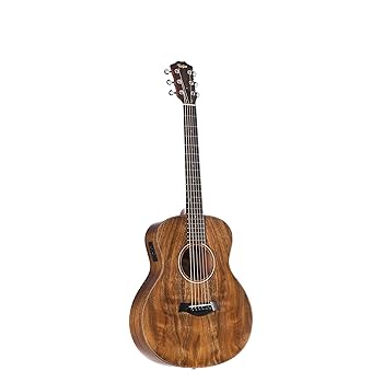 Taylor GS Mini アコースティックギター　ほぼ新品 TAYLOR GS Mini-e Special Edition Translucent Black テイラー