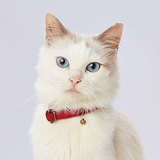 ペティオ (Petio) 首輪 necoco ネココ キャットカラー レッド 猫